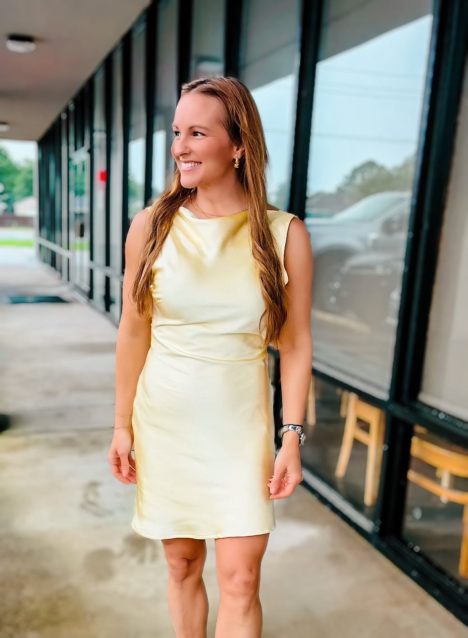 HOW TO LOSE A GUY DRESS