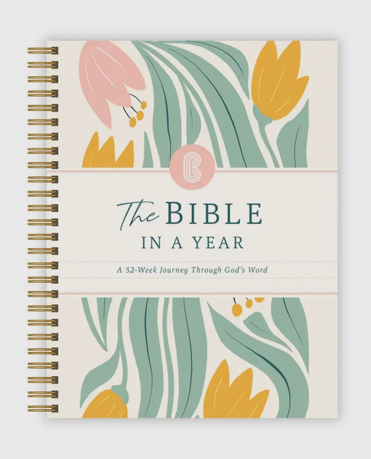 THE BIBLE IN A YEAR